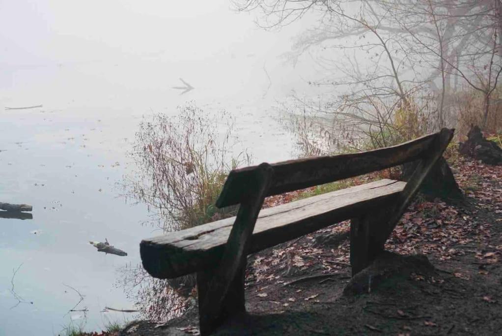 Dachwohnung Mit Wasserblick Und Eigenem Bootssteg Berlin Dış mekan fotoğraf