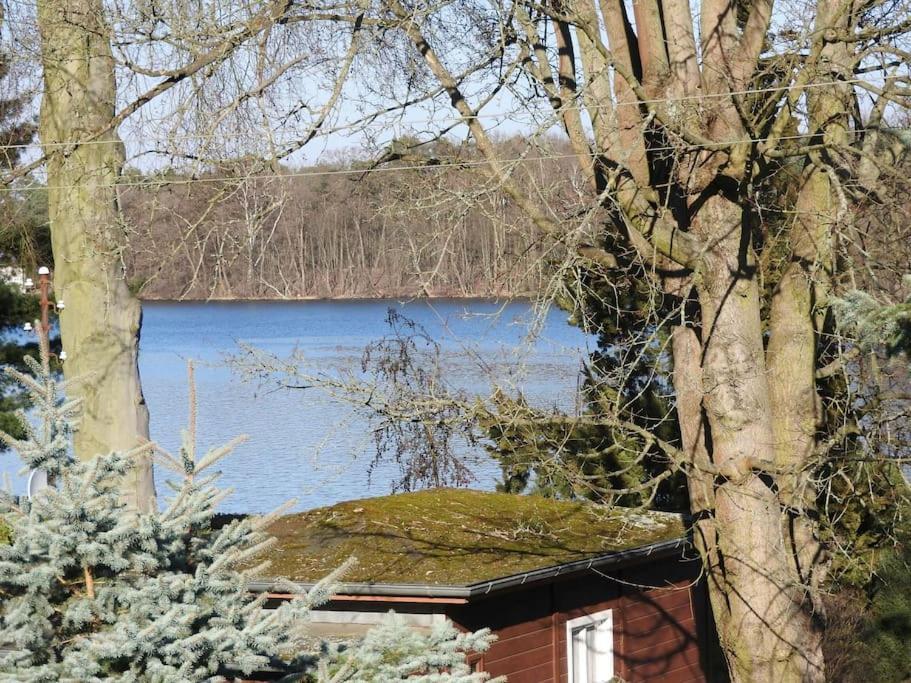Dachwohnung Mit Wasserblick Und Eigenem Bootssteg Berlin Dış mekan fotoğraf